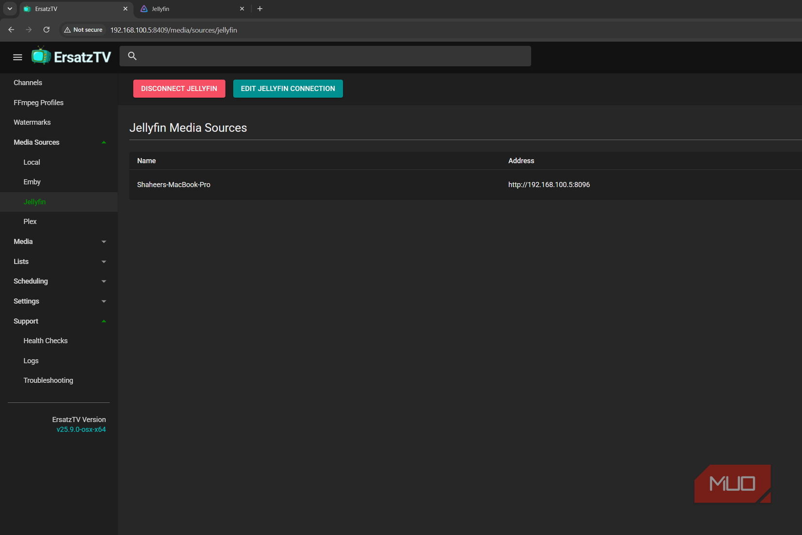 Jellyfin ErsatzTV connect