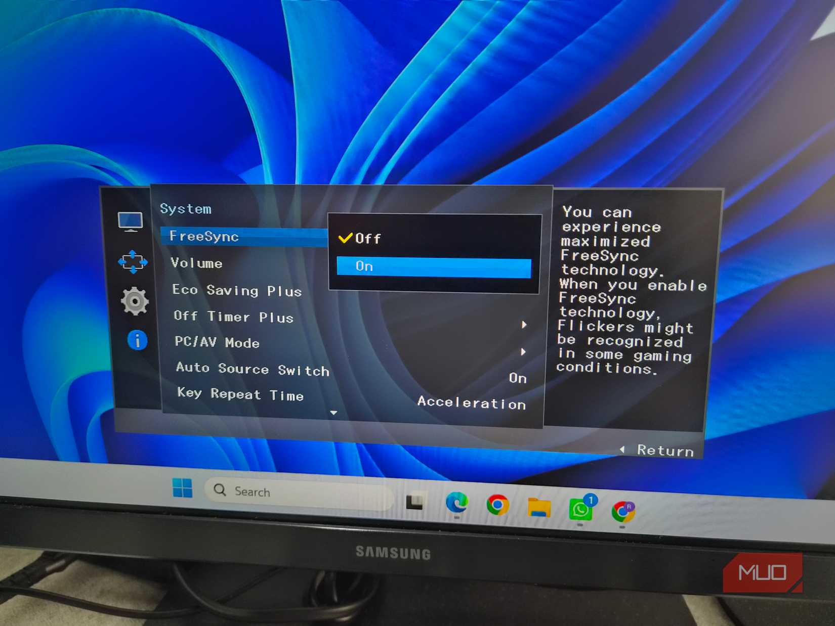 Monitor showing FreeSync setting