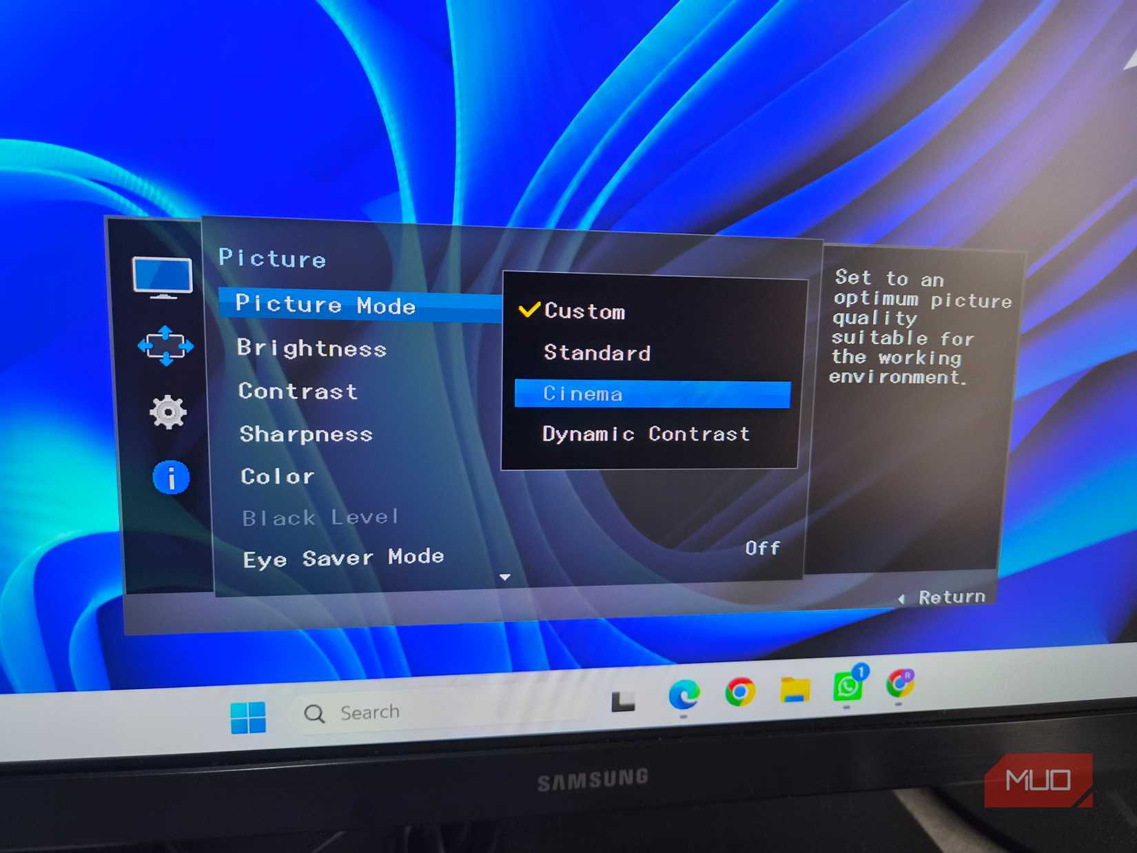 Monitor showing picture mode setting