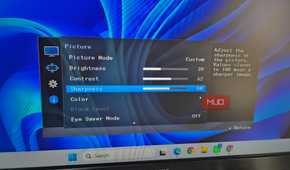 Monitor showing picture settings
