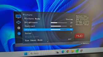 Monitor showing picture settings