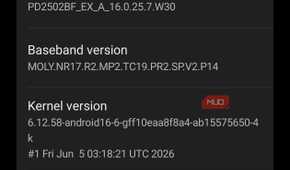 a screenshot of device info vivo x300 pro