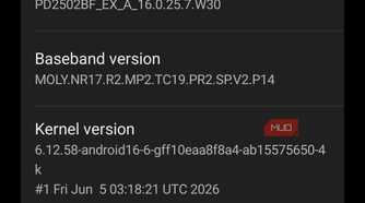 a screenshot of device info vivo x300 pro