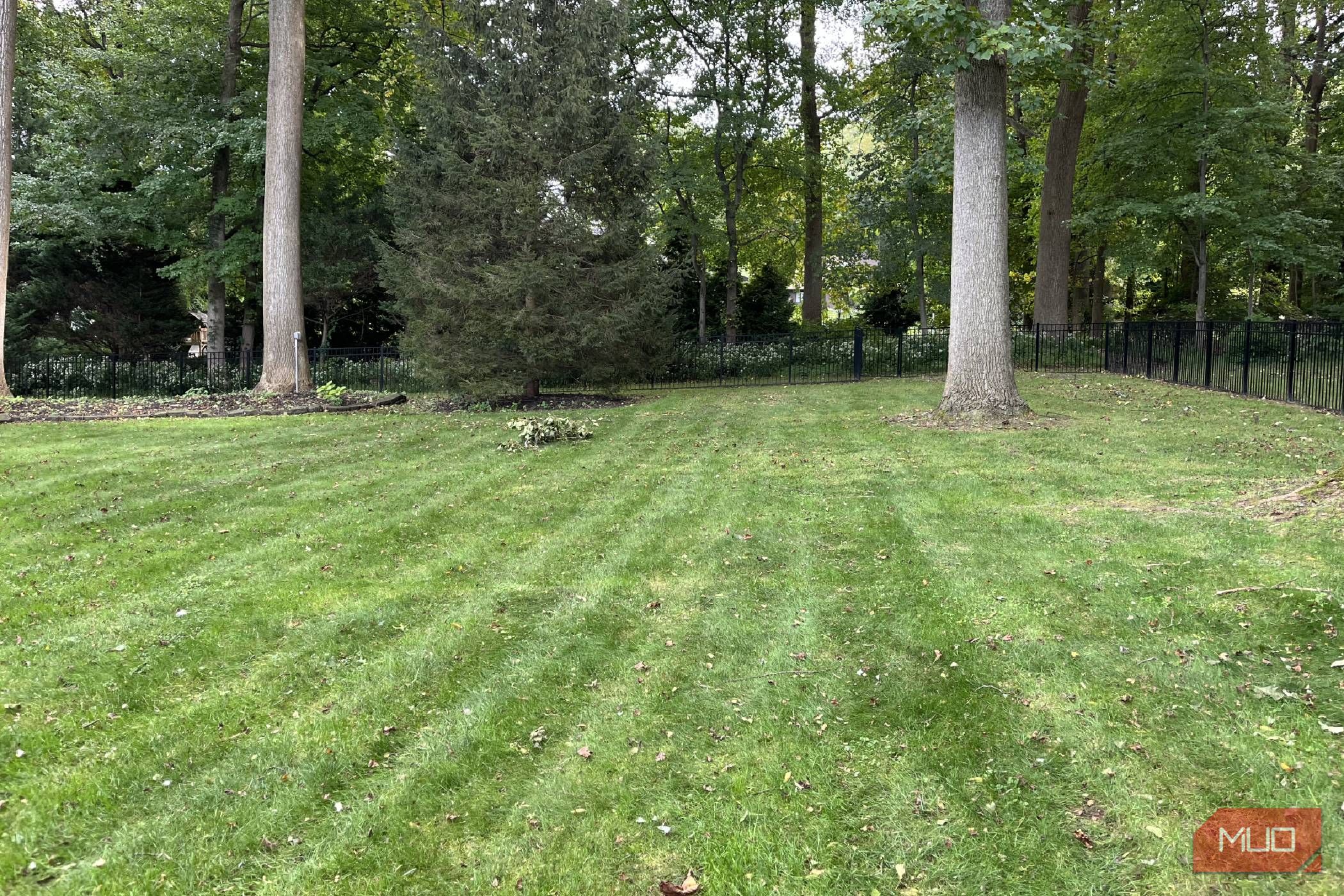 My lawn looked fine until I paid attention — that's when I realized I needed help