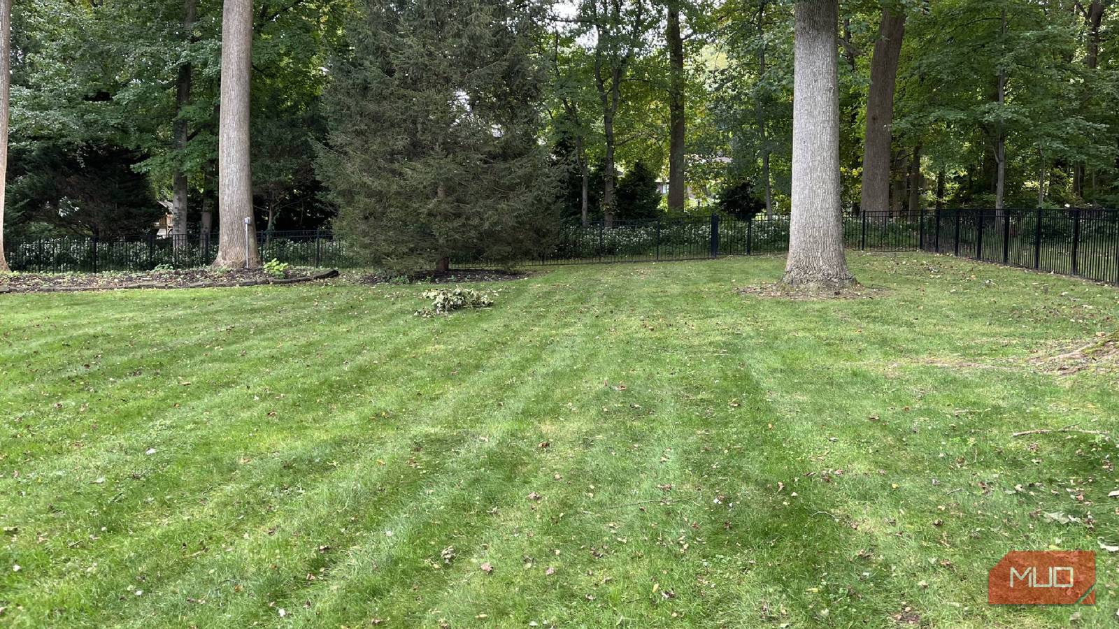 A freshly cut lawn