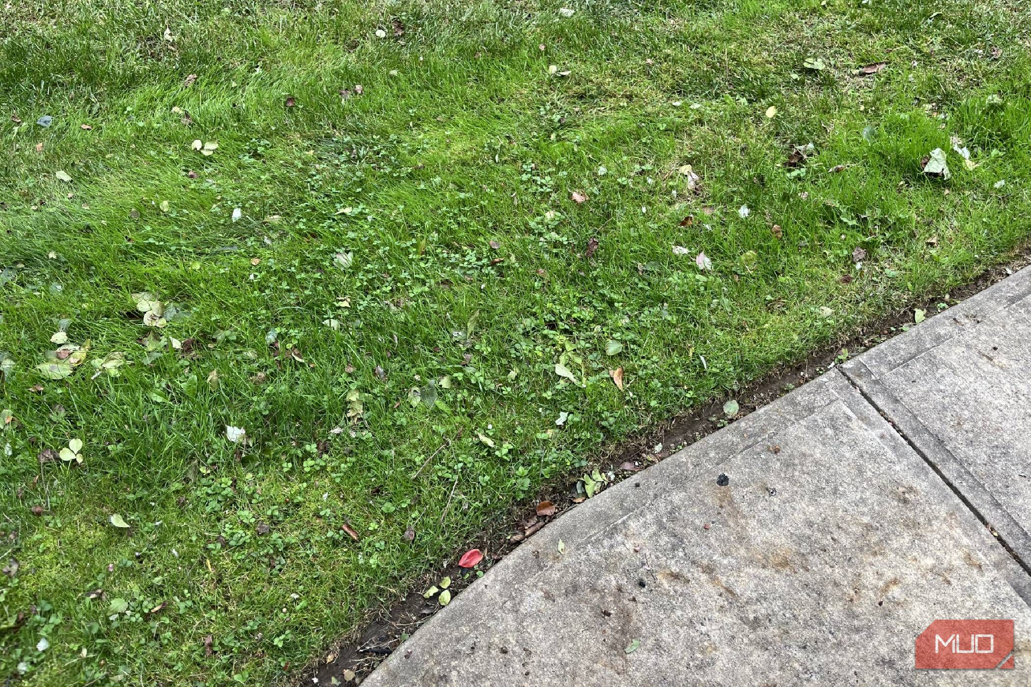 A lawn with a sidewalk