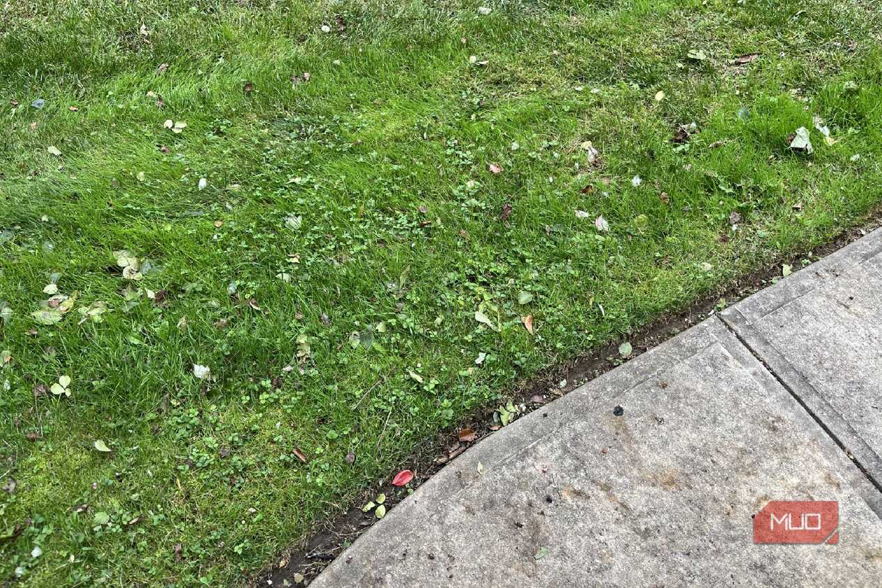 A lawn with a sidewalk
