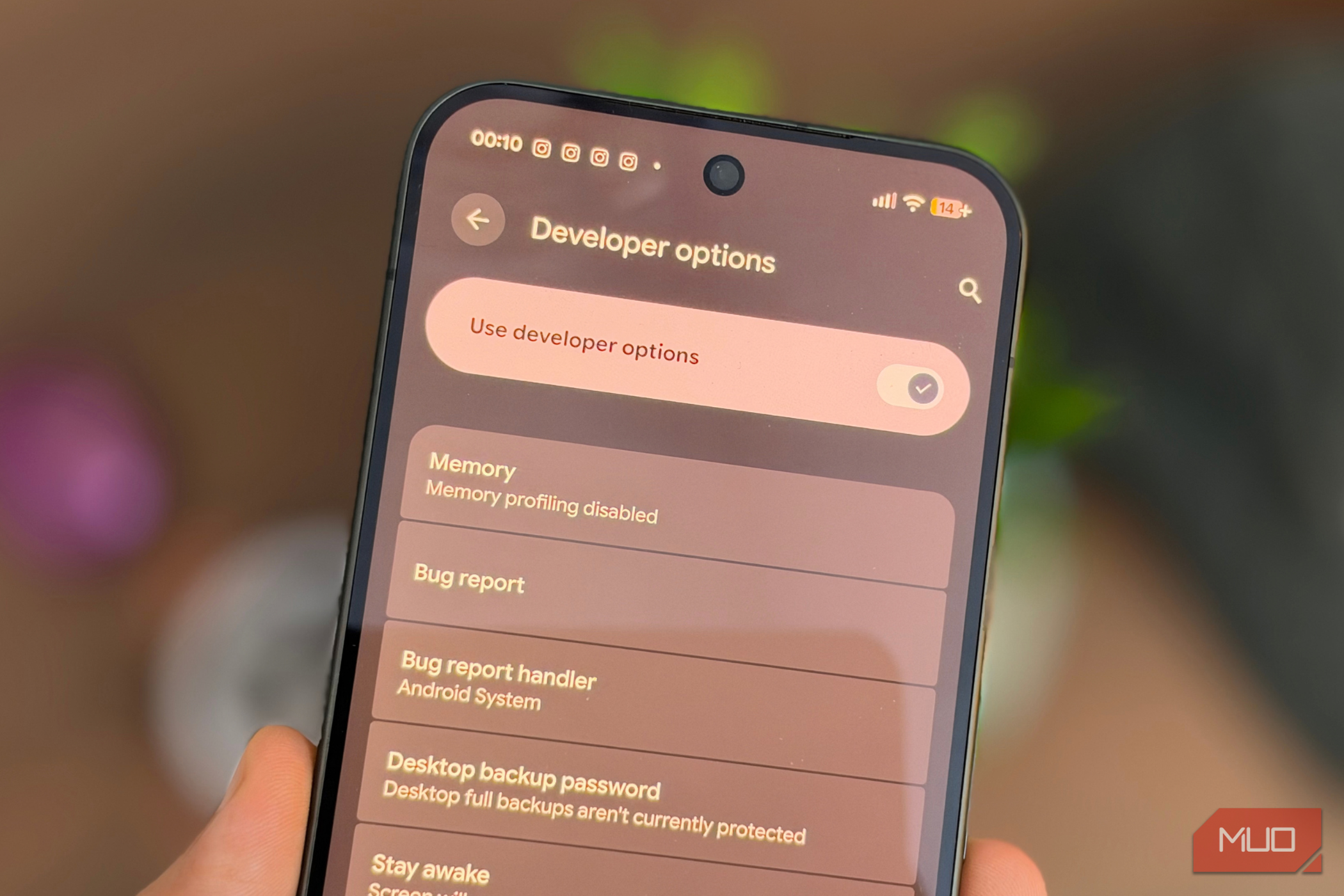 Use Developer Options on Pixel 11 Pro XL