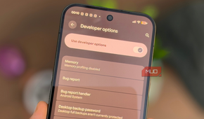 Use Developer Options on Pixel 11 Pro XL