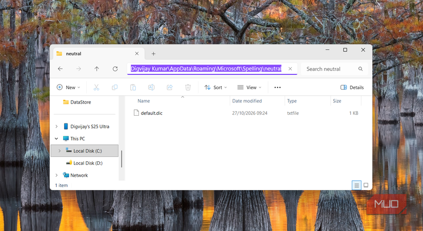 Windows dictionary file in File Explorer-2