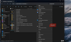 Windows file explorer context menu with extraction options