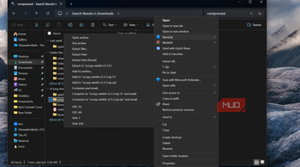 Windows file explorer context menu with extraction options