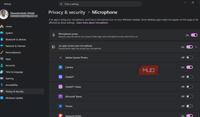 Windows microphone privacy settings menu overview
