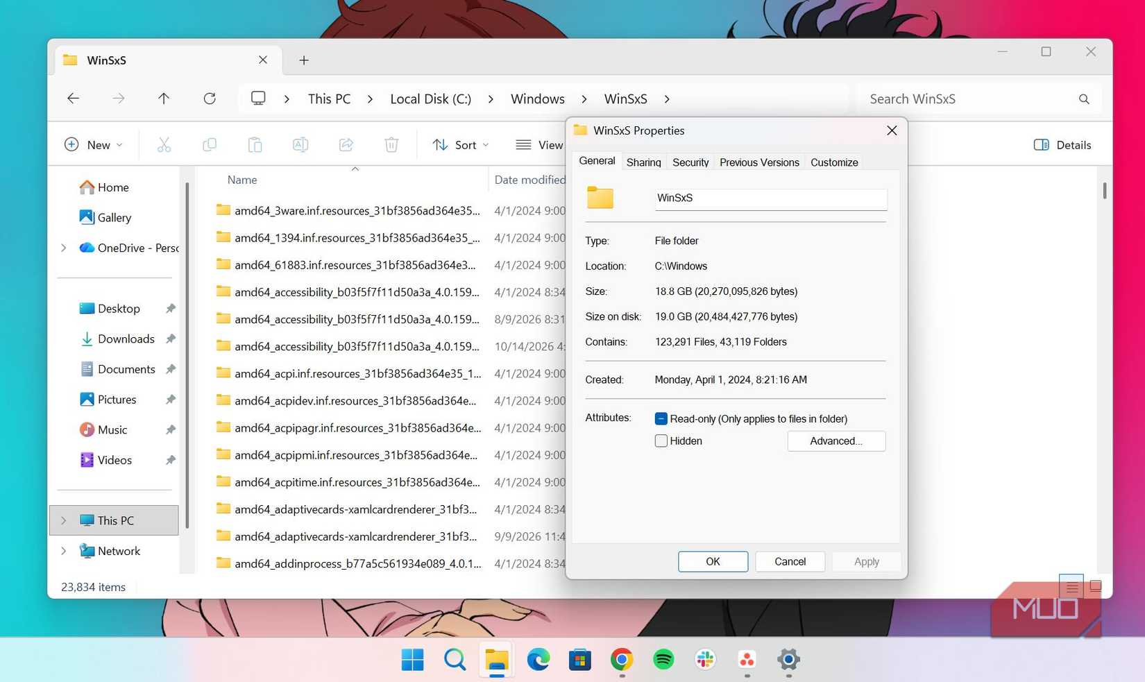 WinSxS folder