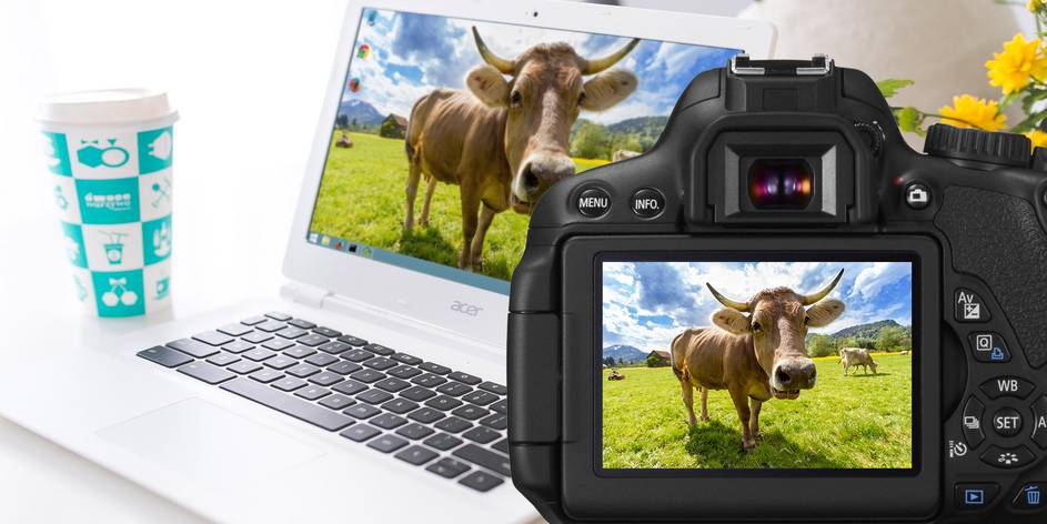 7 Photos You Can Take For A Perfect Desktop Wallpaper Makeuseof