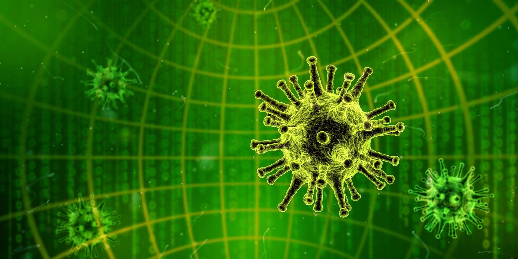 Malicious Software 10 Types Of Computer Viruses