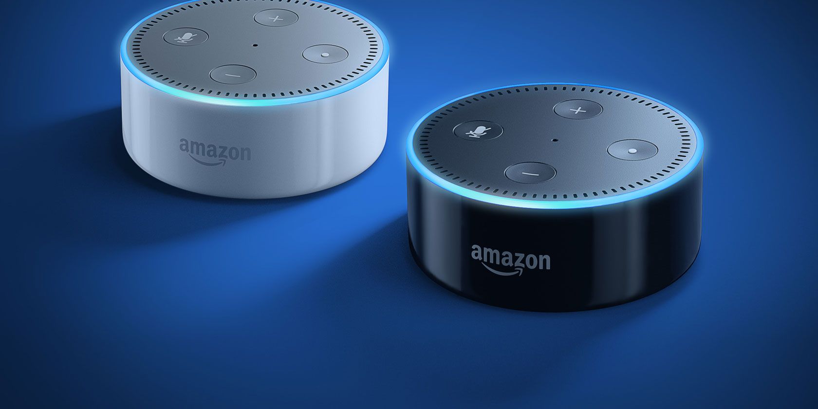 Amazon Echo Dot vs. Echo: Why the Dot Is a Better Buy | MakeUseOf