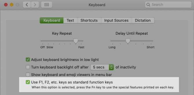 How To Remap Your Mac S Function Keys And Do Anything You Want