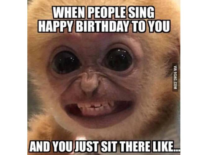 The 18 Best Happy Birthday Memes To Brighten Someone S Day