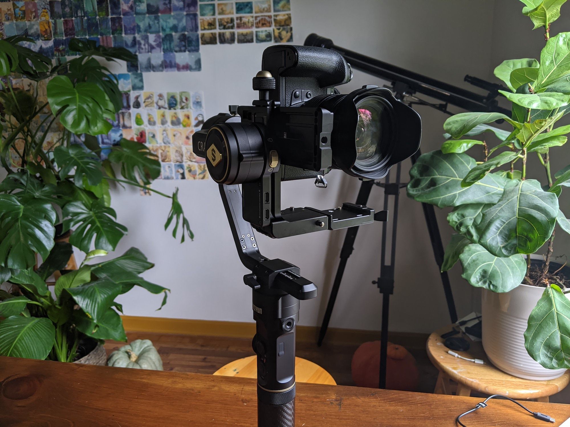 Zhiyun Crane 2S Powerful Stabilization With a Stylish and Lighter