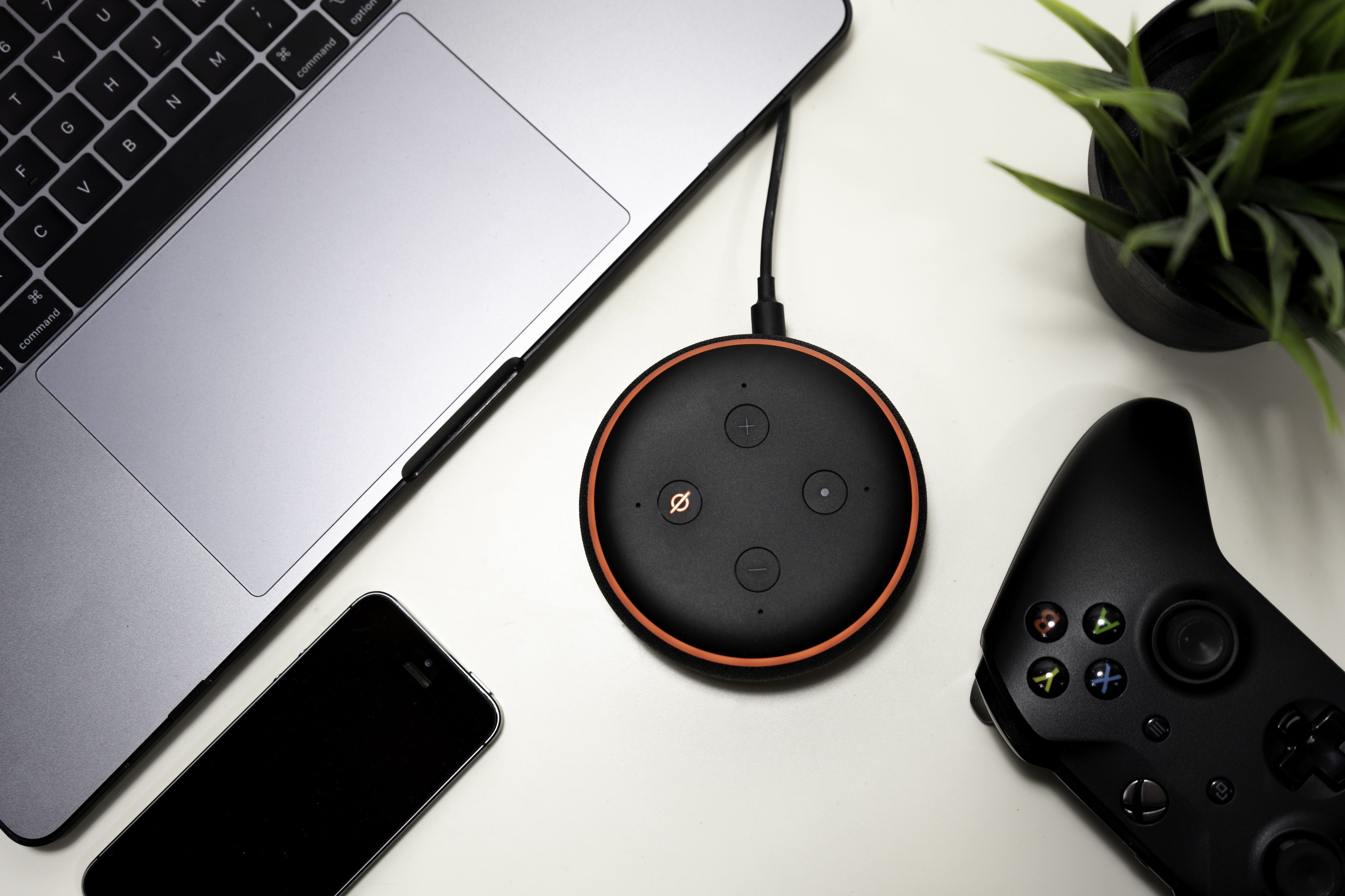 alexa reset muted - Come resettare il tuo Amazon Echo se Alexa smette di ascoltare