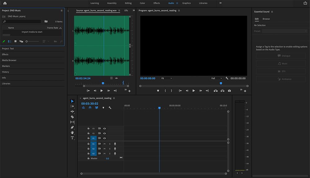 Adobe Premiere Rush vs. Adobe Premiere Pro: Welche sollten Sie verwenden? - premiere pro interface